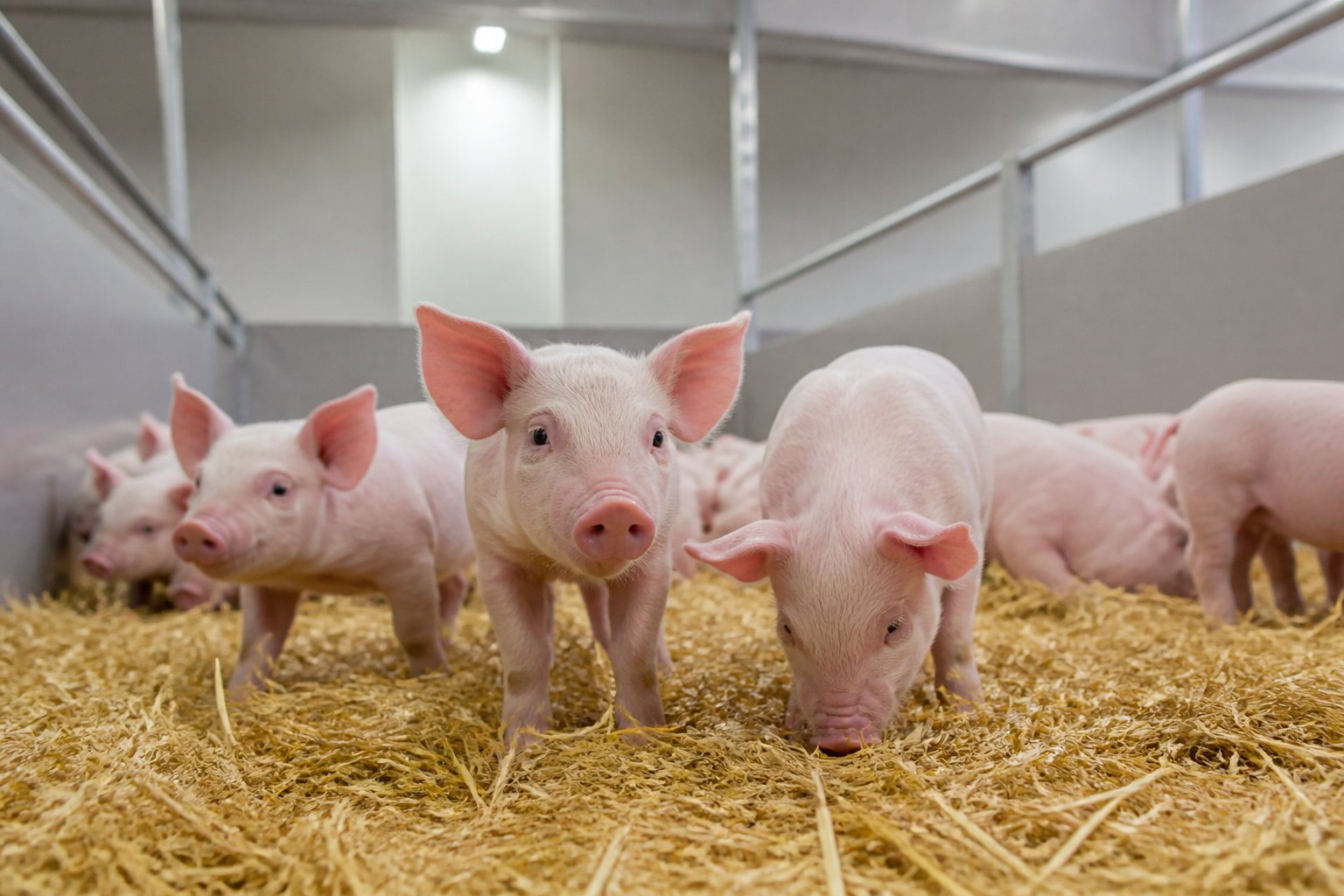 Adaptation aux exigences spécifiques par filière