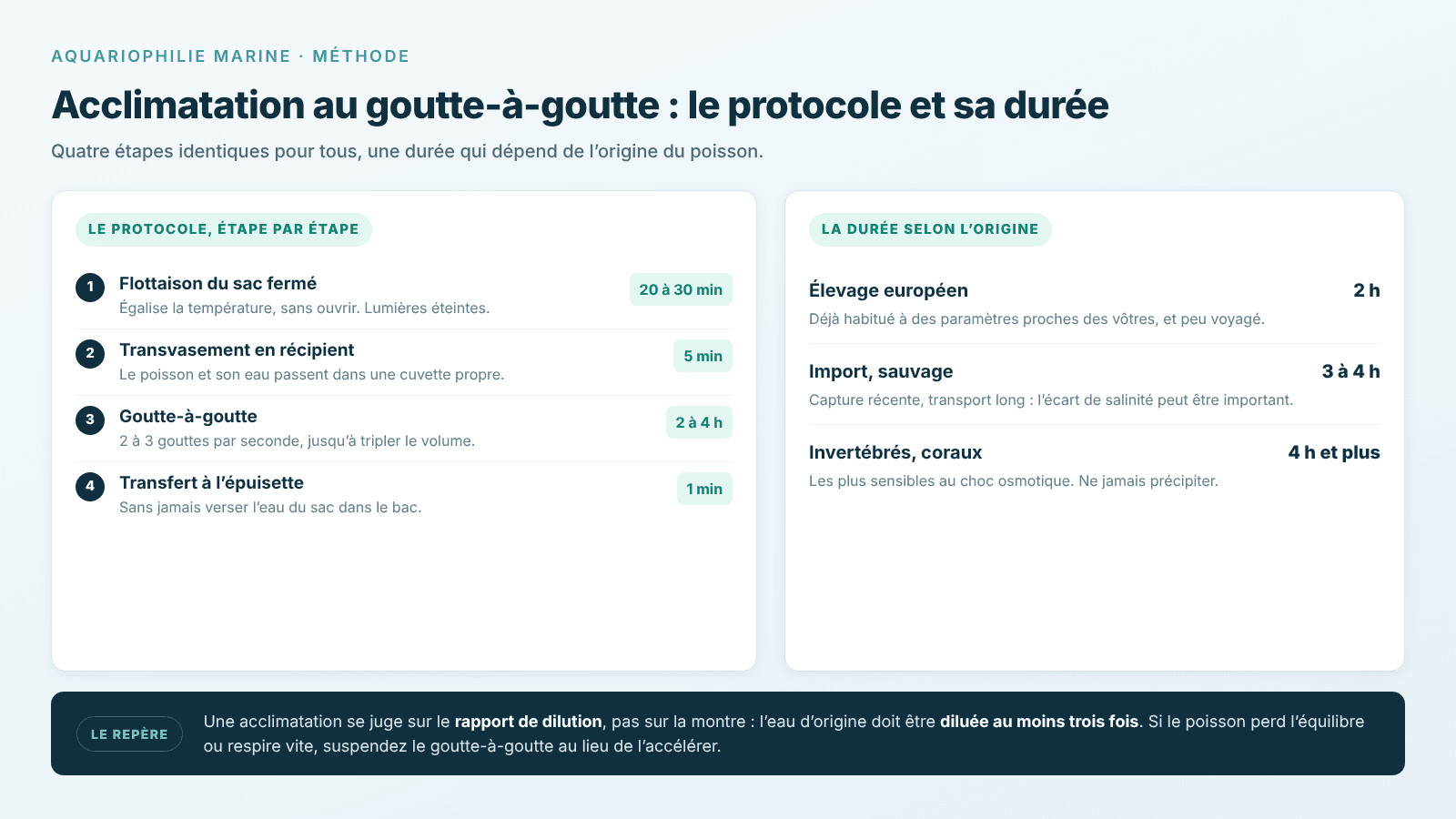 Acclimatation : protocole du goutte-à-goutte et durée selon l’origine du poisson