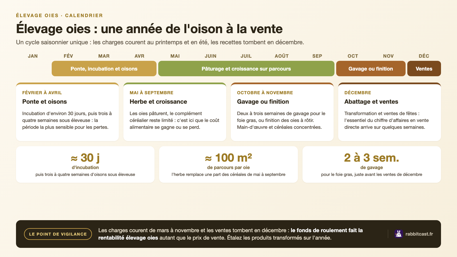 Calendrier annuel d'un élevage oies : ponte au printemps, pâturage en été, gavage en automne, ventes de décembre