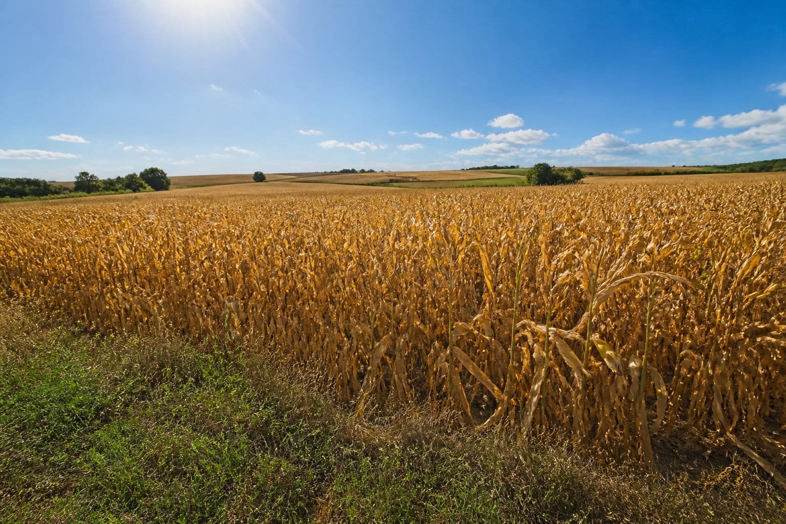 Maîtriser les charges d'exploitation et l'autonomie alimentaire