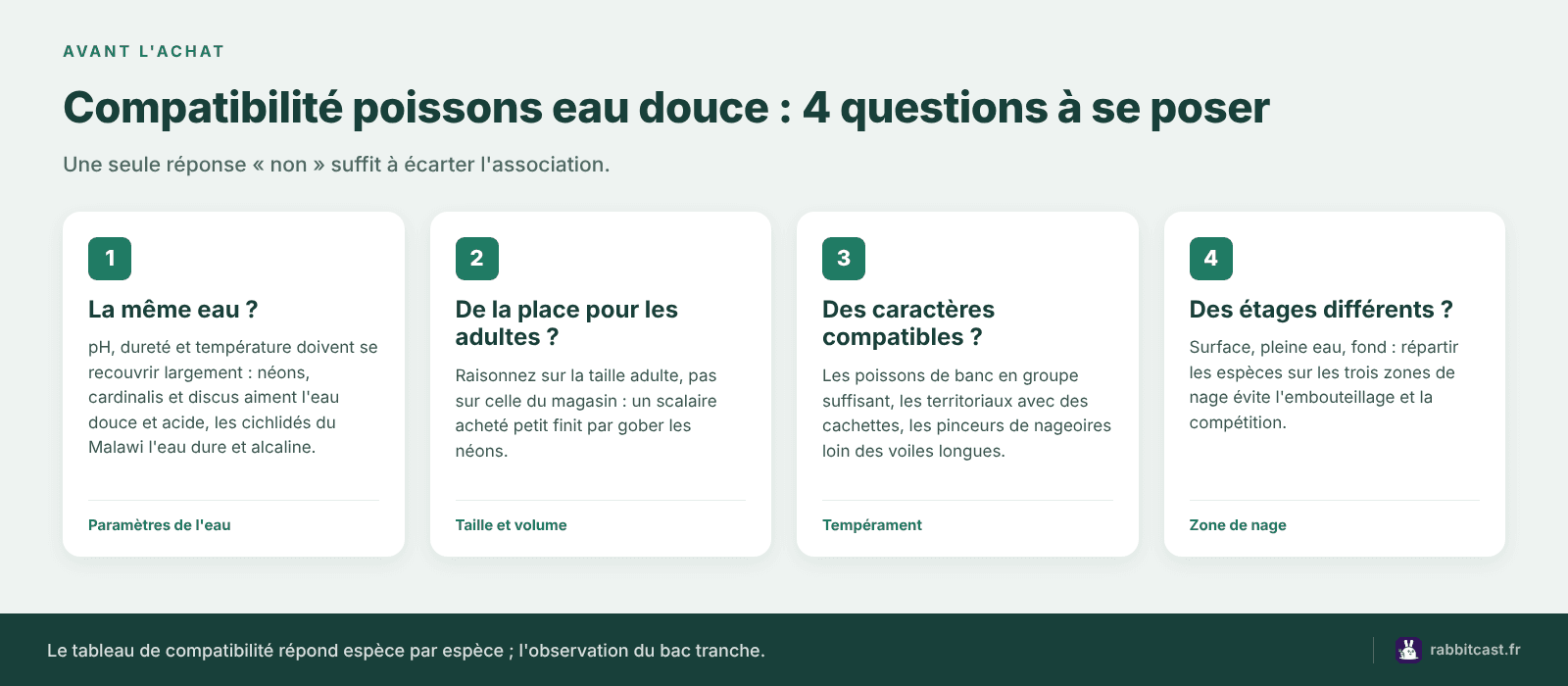Compatibilité poissons eau douce : les 4 questions à se poser avant d'associer deux espèces