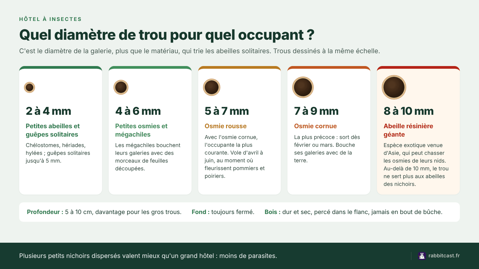 Hôtel à insectes : diamètre des trous selon l'occupant, de 2 mm pour les petites abeilles solitaires à 9 mm pour l'osmie cornue