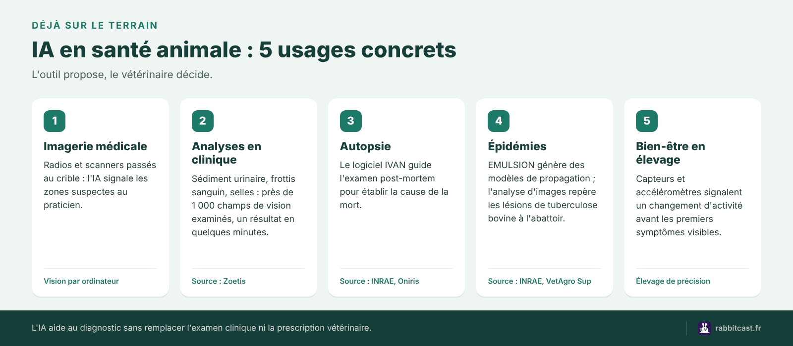 IA en santé animale : 5 usages concrets, de l'imagerie médicale au suivi du bien-être en élevage