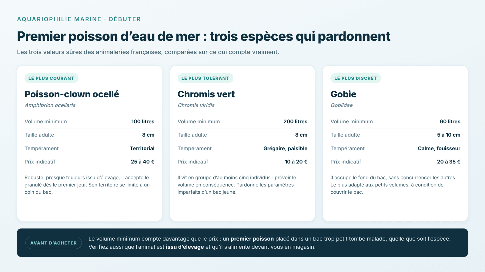 Premier poisson d’eau de mer : trois espèces pour débuter comparées