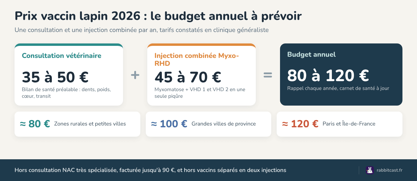 Prix vaccin lapin 2026 : consultation, injection combinée et budget annuel