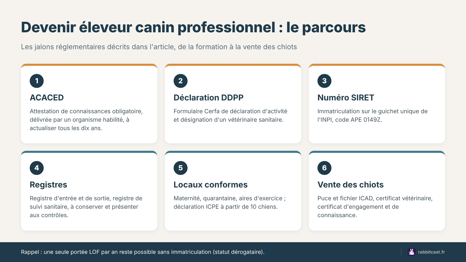Schéma : comment devenir éleveur canin, de l'ACACED à la vente des chiots