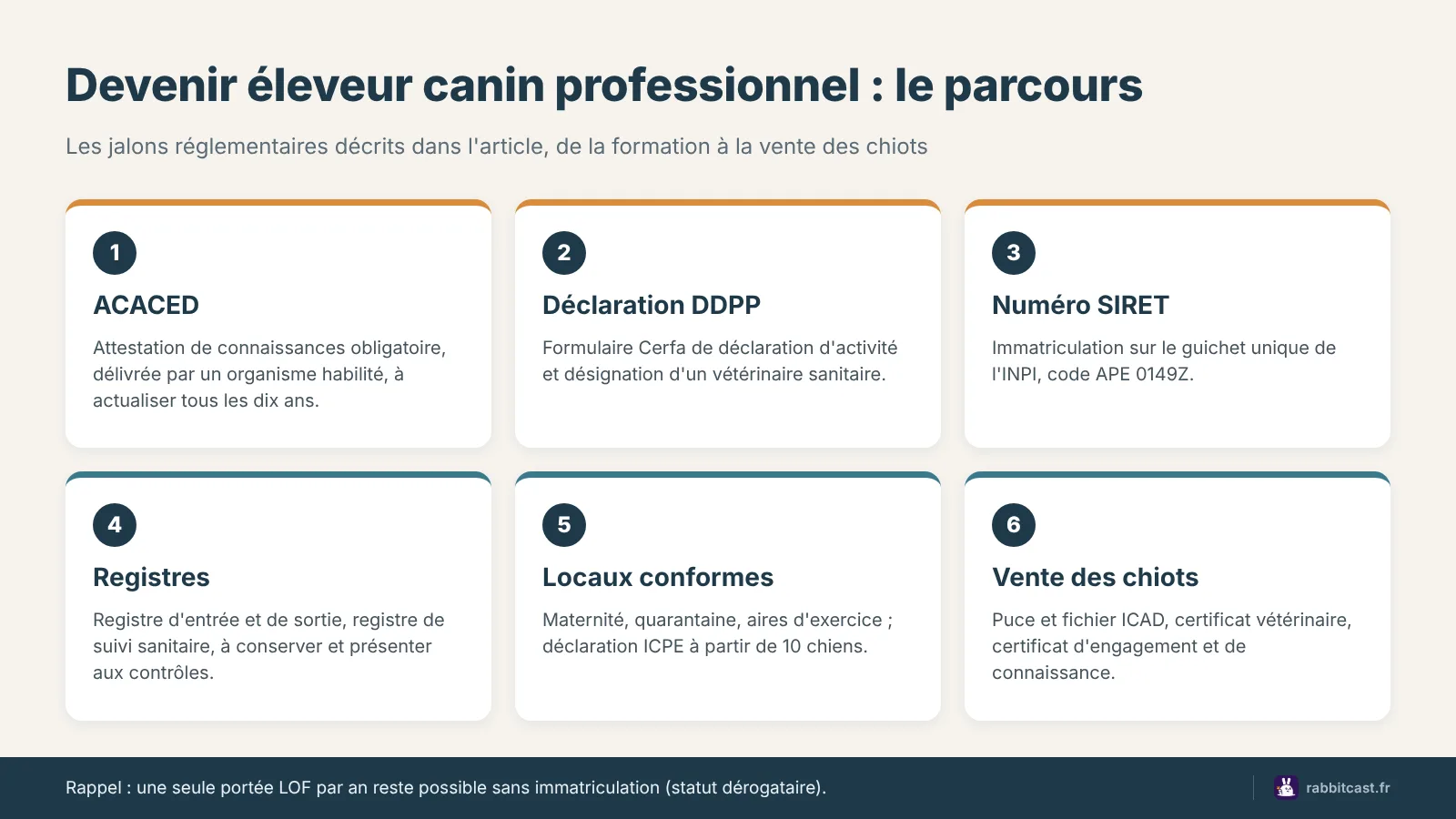 Schéma : comment devenir éleveur canin, de l'ACACED à la vente des chiots