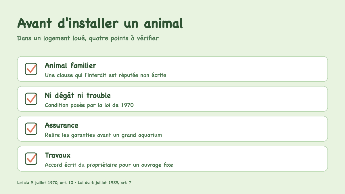 Lapin, Aquarium, Poules