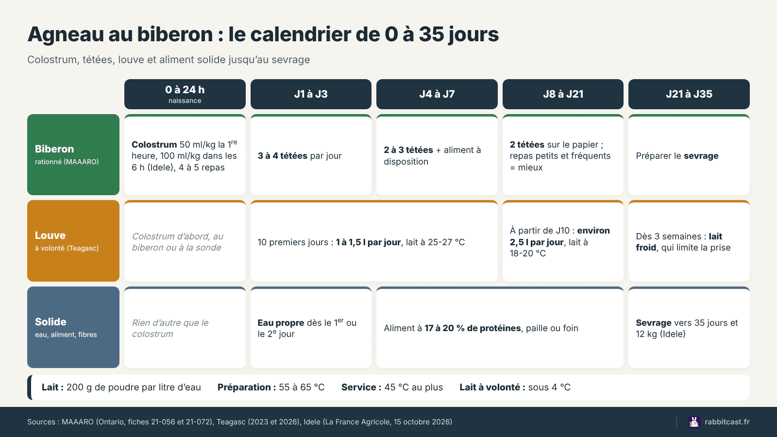 Calendrier de l’allaitement artificiel des agneaux de la naissance au sevrage : colostrum, tétées, louve et sevrage