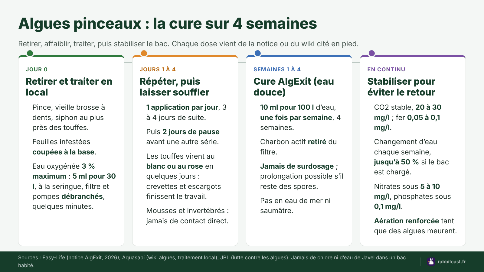 Schéma de la cure contre les algues pinceaux sur 4 semaines : retrait, eau oxygénée en local, AlgExit, stabilisation du bac