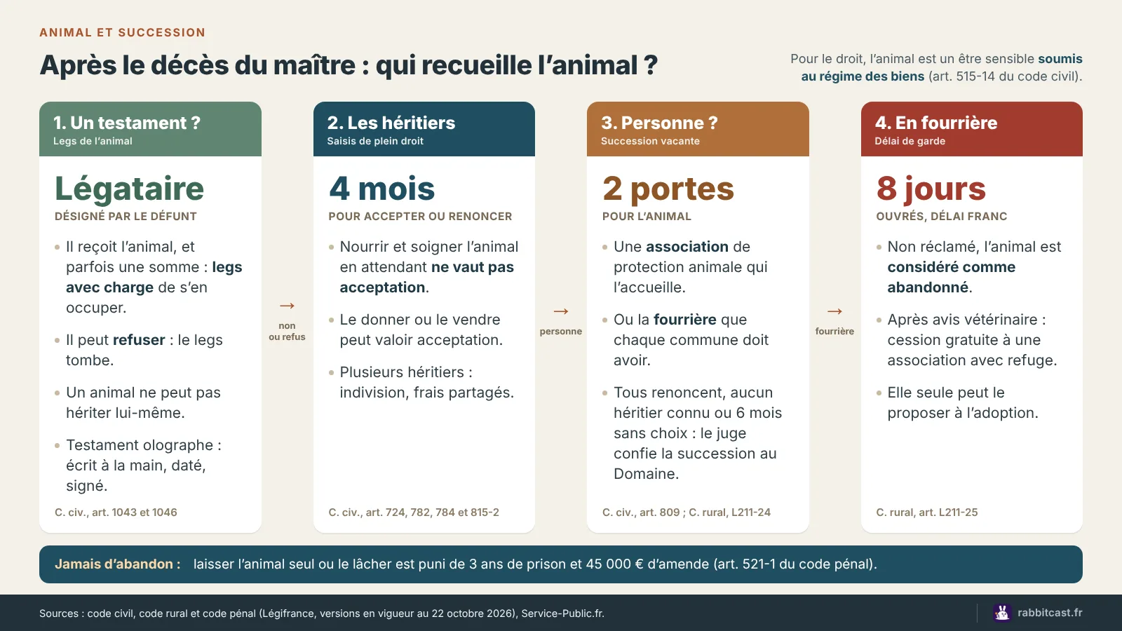 Schéma animal et succession : du testament aux héritiers, puis à l’association ou à la fourrière, avec les délais de quatre mois et de huit jours ouvrés