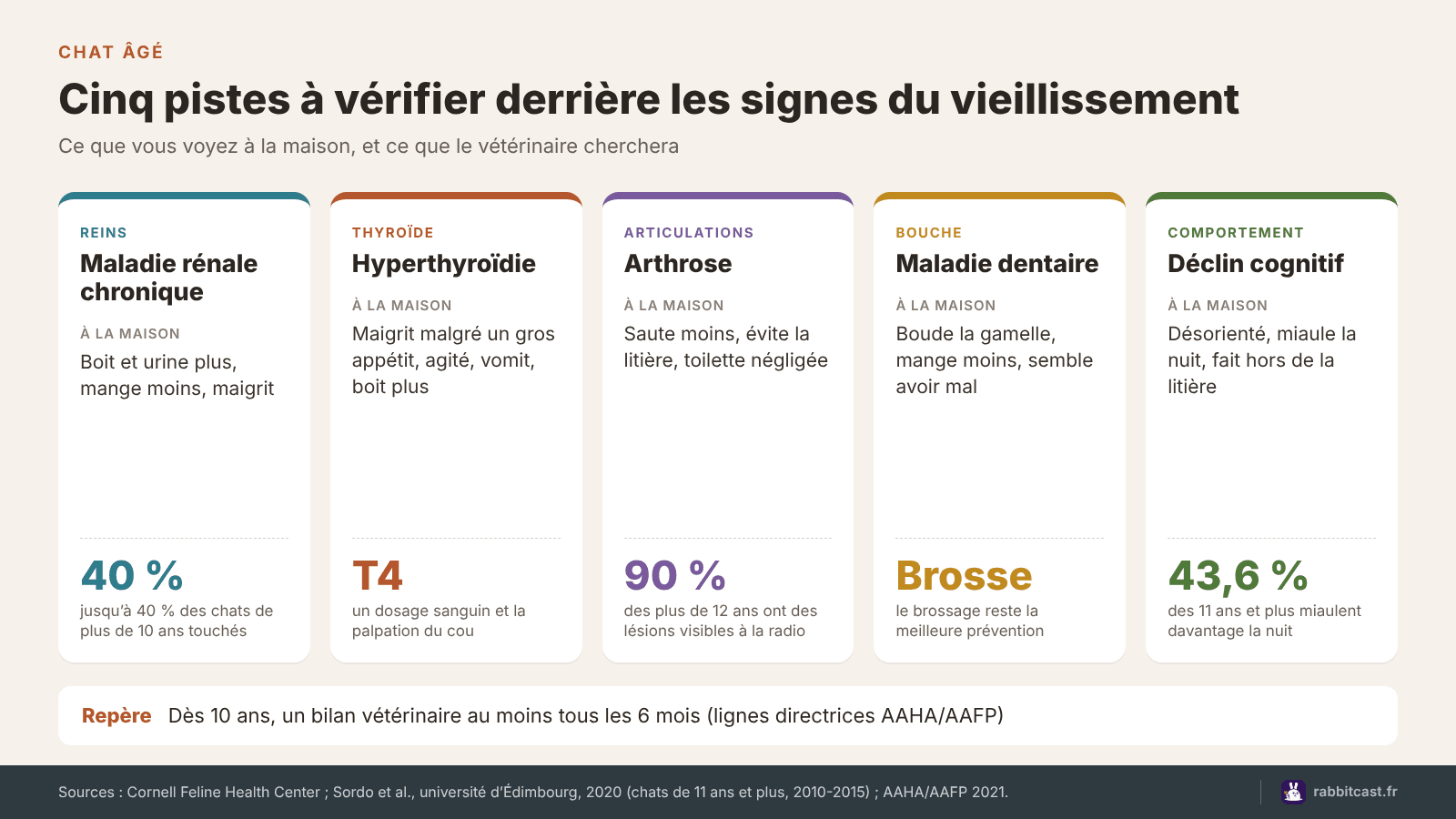 Schéma des cinq pistes à vérifier chez un vieux chat : reins, thyroïde, arthrose, dents et déclin cognitif
