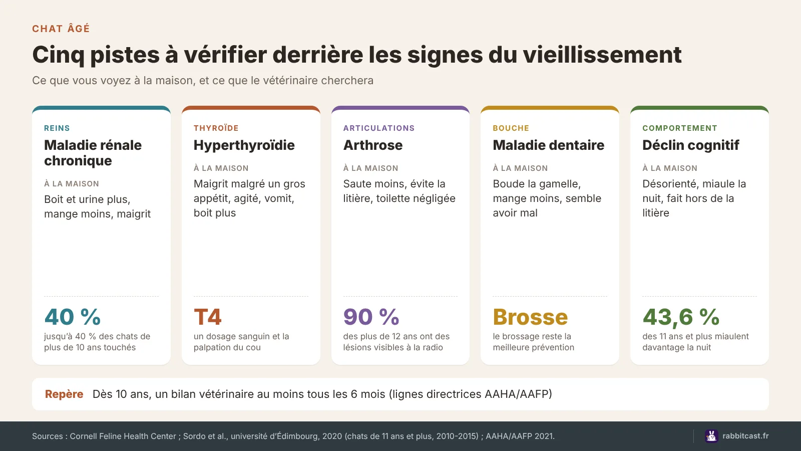 Schéma des cinq pistes à vérifier chez un vieux chat : reins, thyroïde, arthrose, dents et déclin cognitif