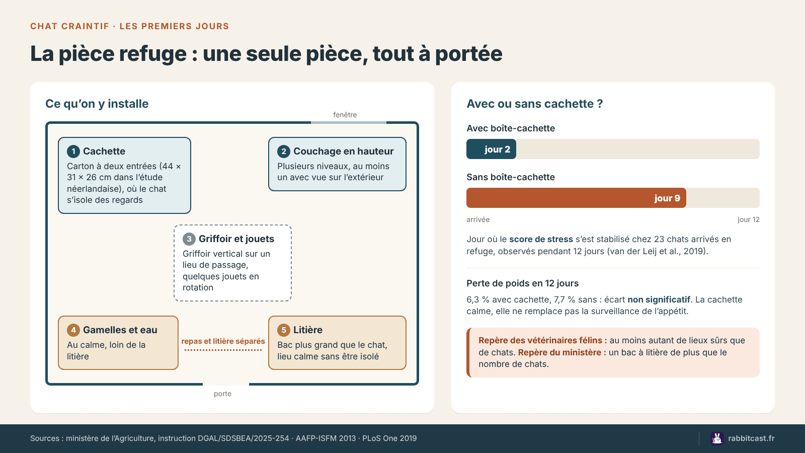 Schéma de la pièce refuge pour un chat peureux : cachette, couchage en hauteur, griffoir, gamelles loin de la litière, et effet d’une boîte-cachette sur le stress