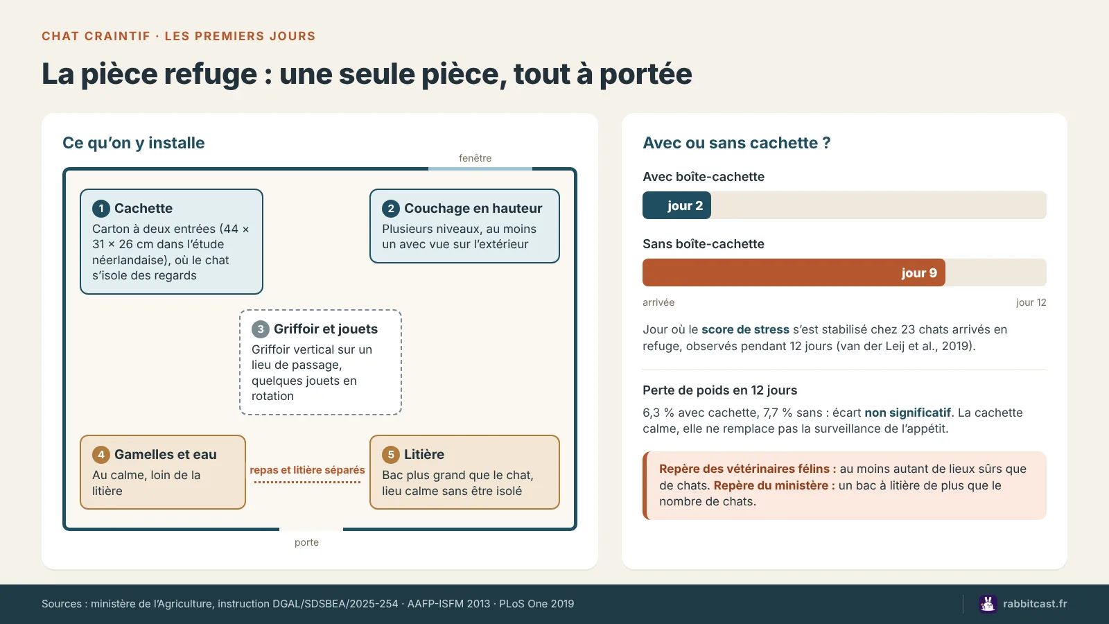 Schéma de la pièce refuge pour un chat peureux : cachette, couchage en hauteur, griffoir, gamelles loin de la litière, et effet d’une boîte-cachette sur le stress
