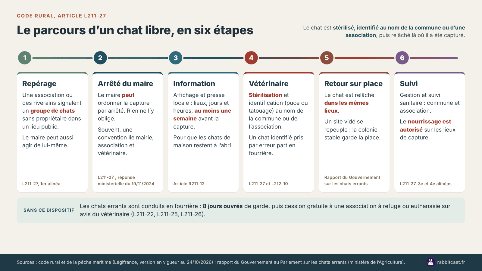 Schéma du parcours d’un chat libre en six étapes selon l’article L211-27 du code rural : repérage, arrêté du maire, information, vétérinaire, retour sur place et suivi