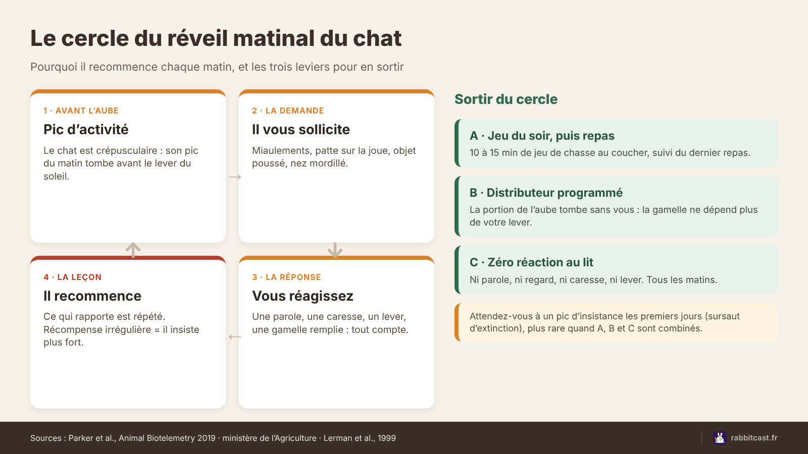 Schéma du cercle du réveil matinal du chat : demande, réaction de l’humain, récompense, puis sortie par le jeu du soir et le distributeur programmé