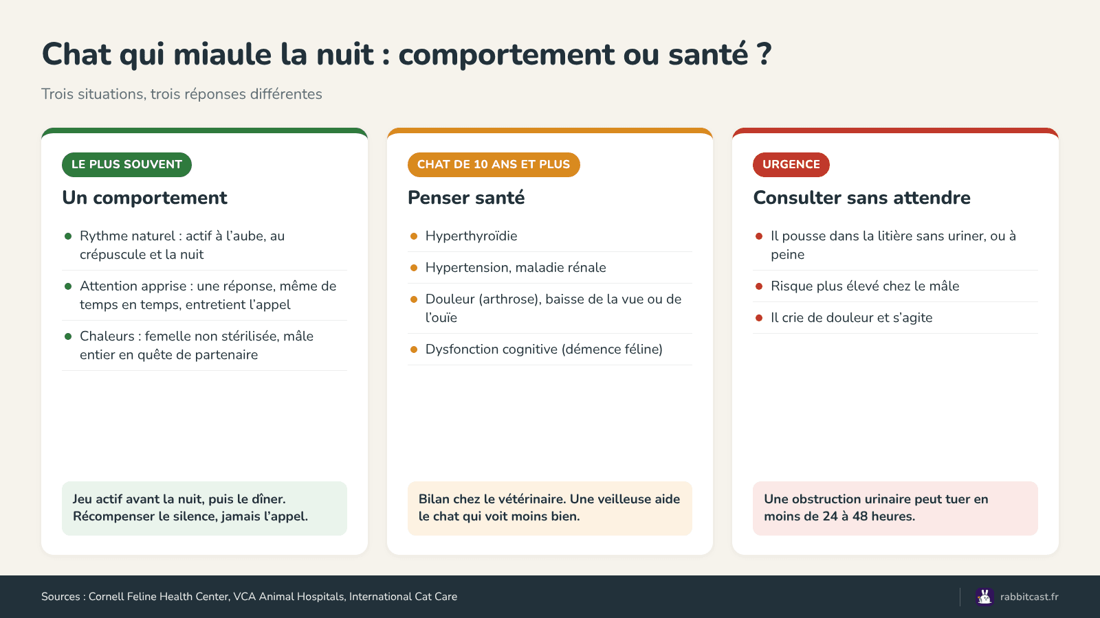 Schéma : miaulements nocturnes liés au comportement, à la santé du chat âgé ou à une urgence