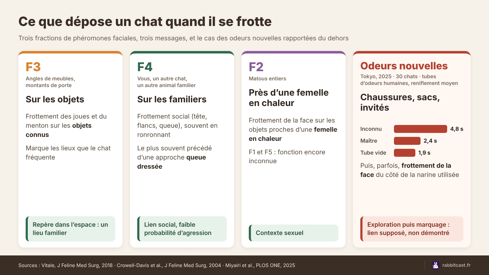Schéma des phéromones faciales du chat : objets et repères avec F3, humains et congénères avec F4, contexte sexuel avec F2, odeurs nouvelles des chaussures