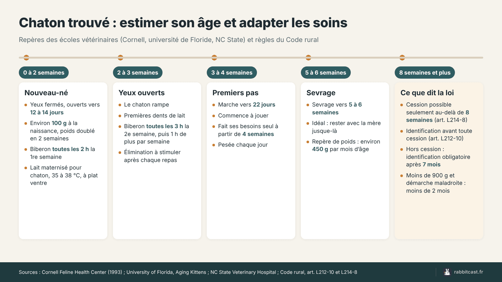 Chaton trouvé : repères pour estimer son âge de la naissance à huit semaines, rythme des repas au biberon et règles du Code rural