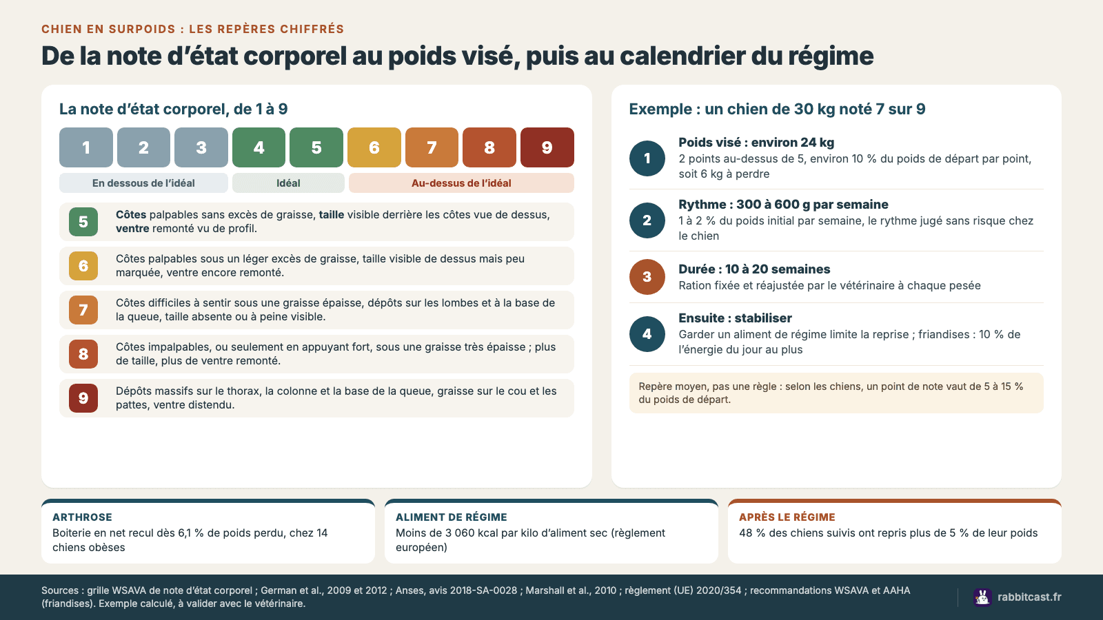 Schéma de la note d’état corporel du chien de 1 à 9, avec le calcul du poids visé, le rythme de perte de 1 à 2 % par semaine et la durée du régime pour un chien de 30 kg