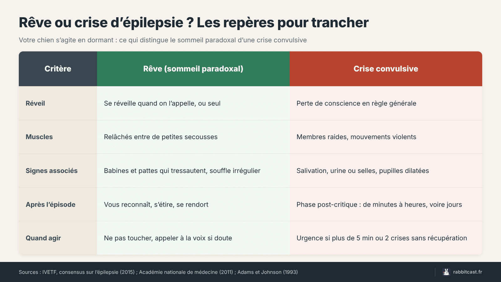 Comparatif rêve ou crise d’épilepsie chez le chien qui s’agite en dormant