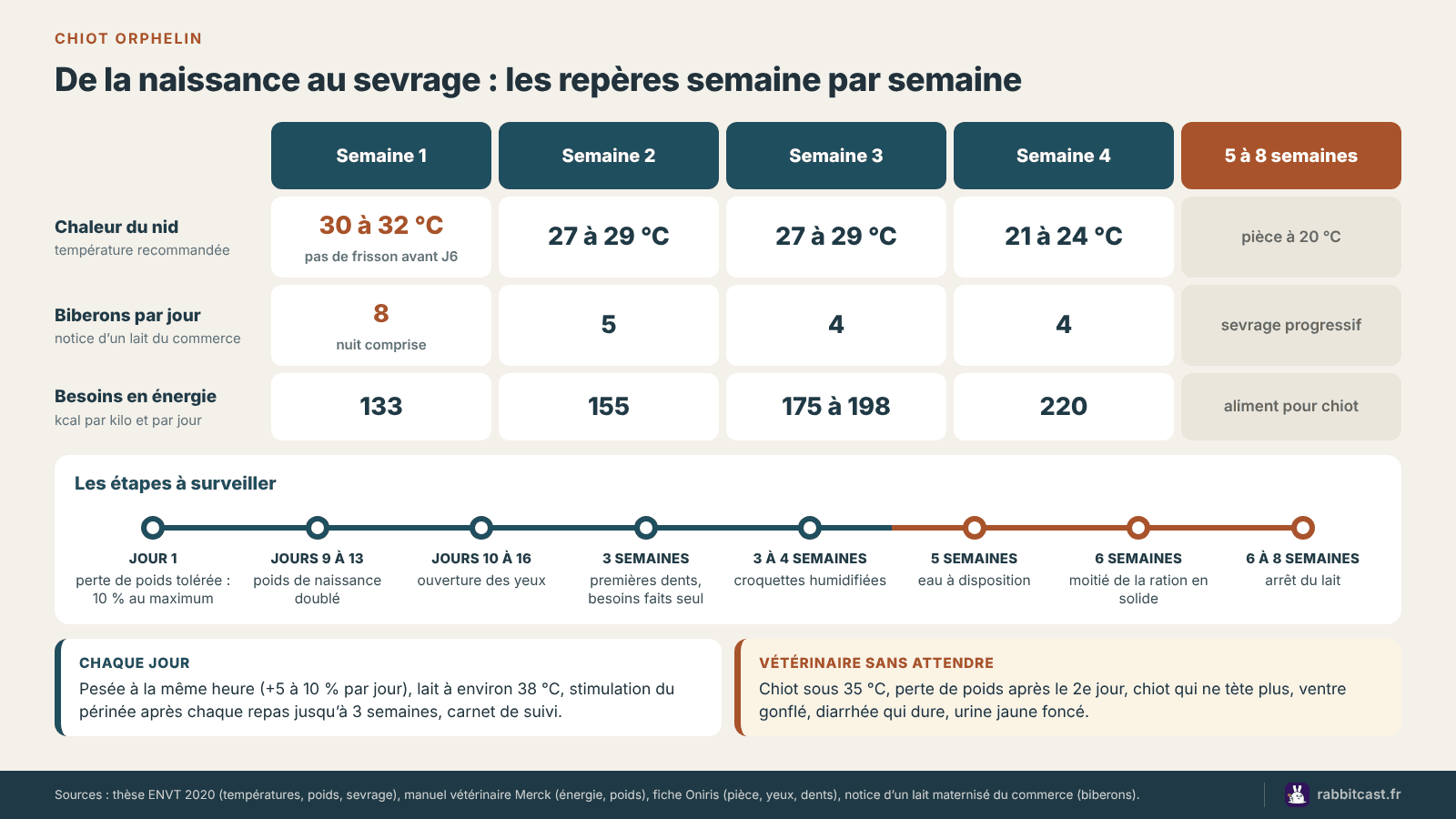 Calendrier d’un chiot orphelin de la naissance au sevrage : température du nid, nombre de biberons par jour, besoins en énergie et étapes du sevrage, semaine par semaine