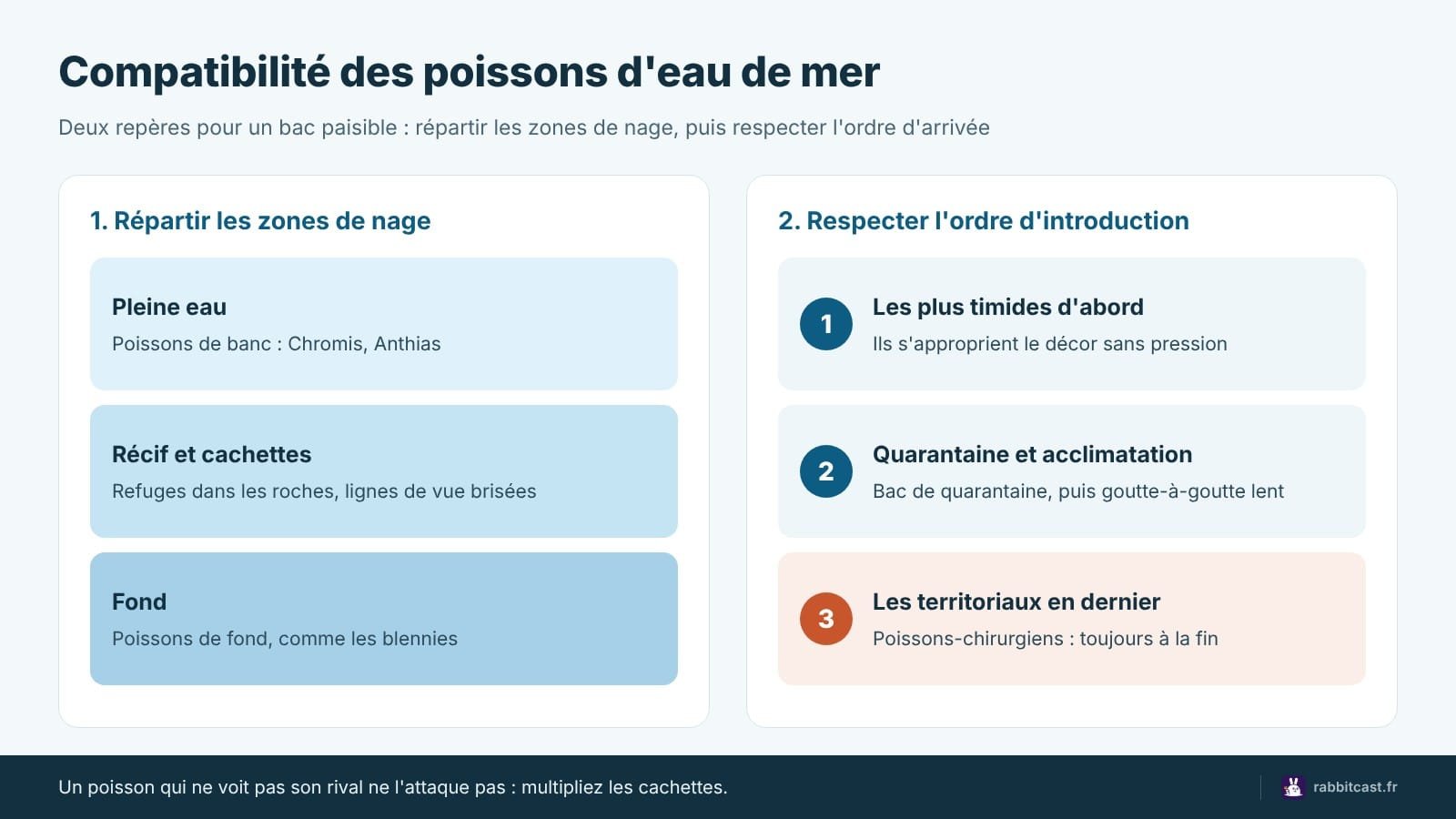 Schéma de compatibilité poissons eau de mer : zones de nage et ordre d'introduction