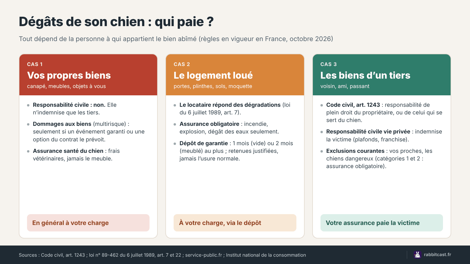 Dégâts chien assurance : qui paie selon que le bien abîmé est à vous, au propriétaire de votre logement ou à un tiers