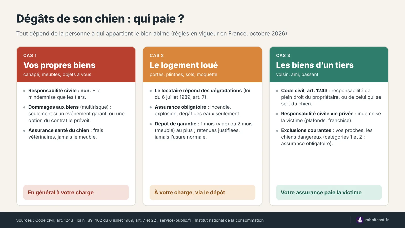 Dégâts chien assurance : qui paie selon que le bien abîmé est à vous, au propriétaire de votre logement ou à un tiers