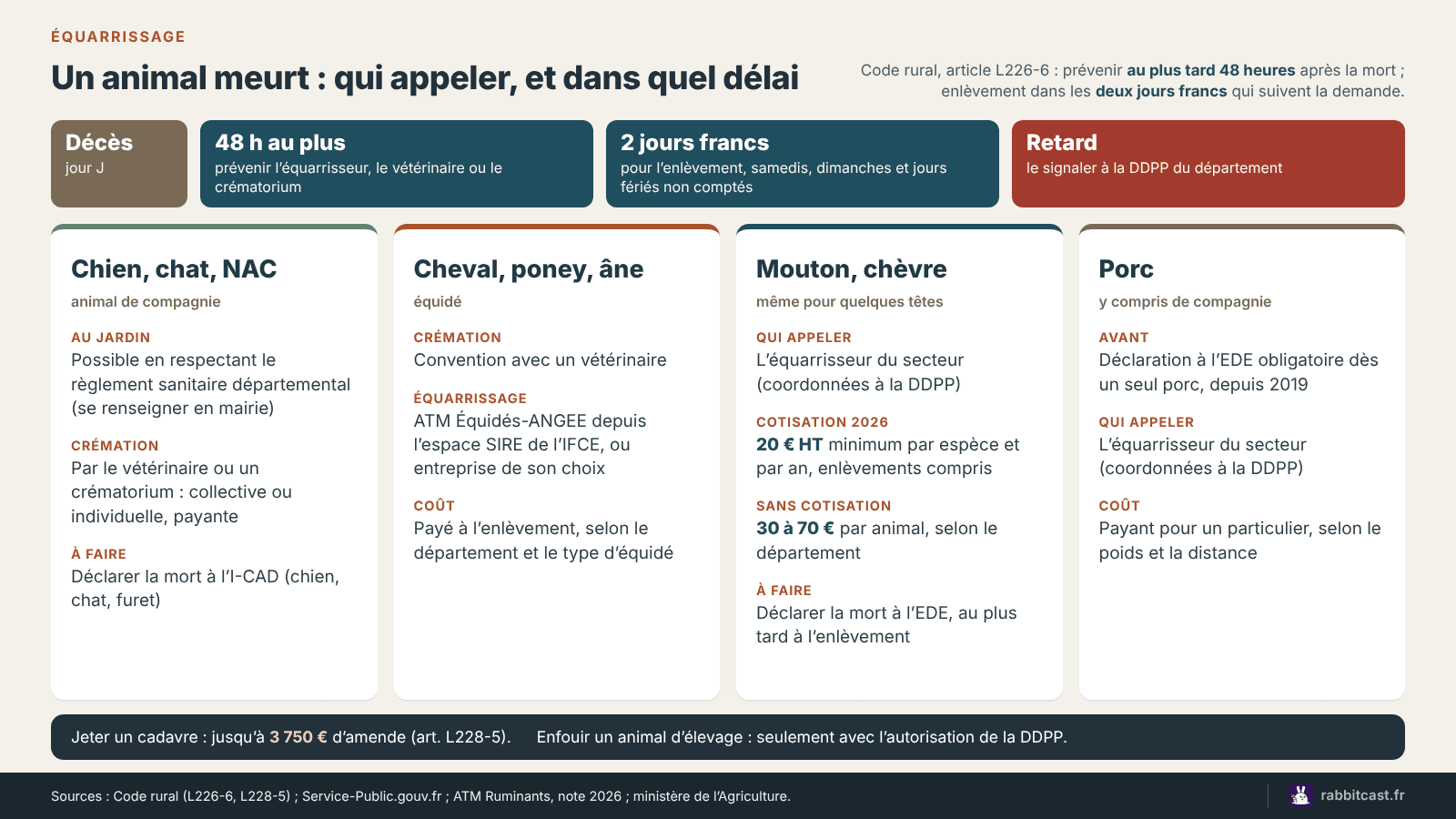 Schéma : qui appeler et sous quel délai quand un animal meurt, selon qu’il s’agit d’un animal de compagnie, d’un équidé, d’un mouton, d’une chèvre ou d’un porc