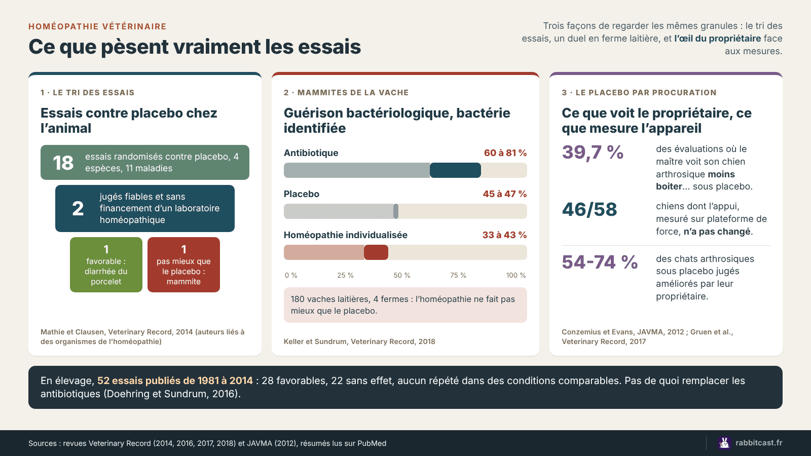 Schéma de synthèse : 18 essais contre placebo dont 2 fiables, taux de guérison des mammites sous antibiotique, placebo et homéopathie, et effet placebo par procuration chez le chien et le chat