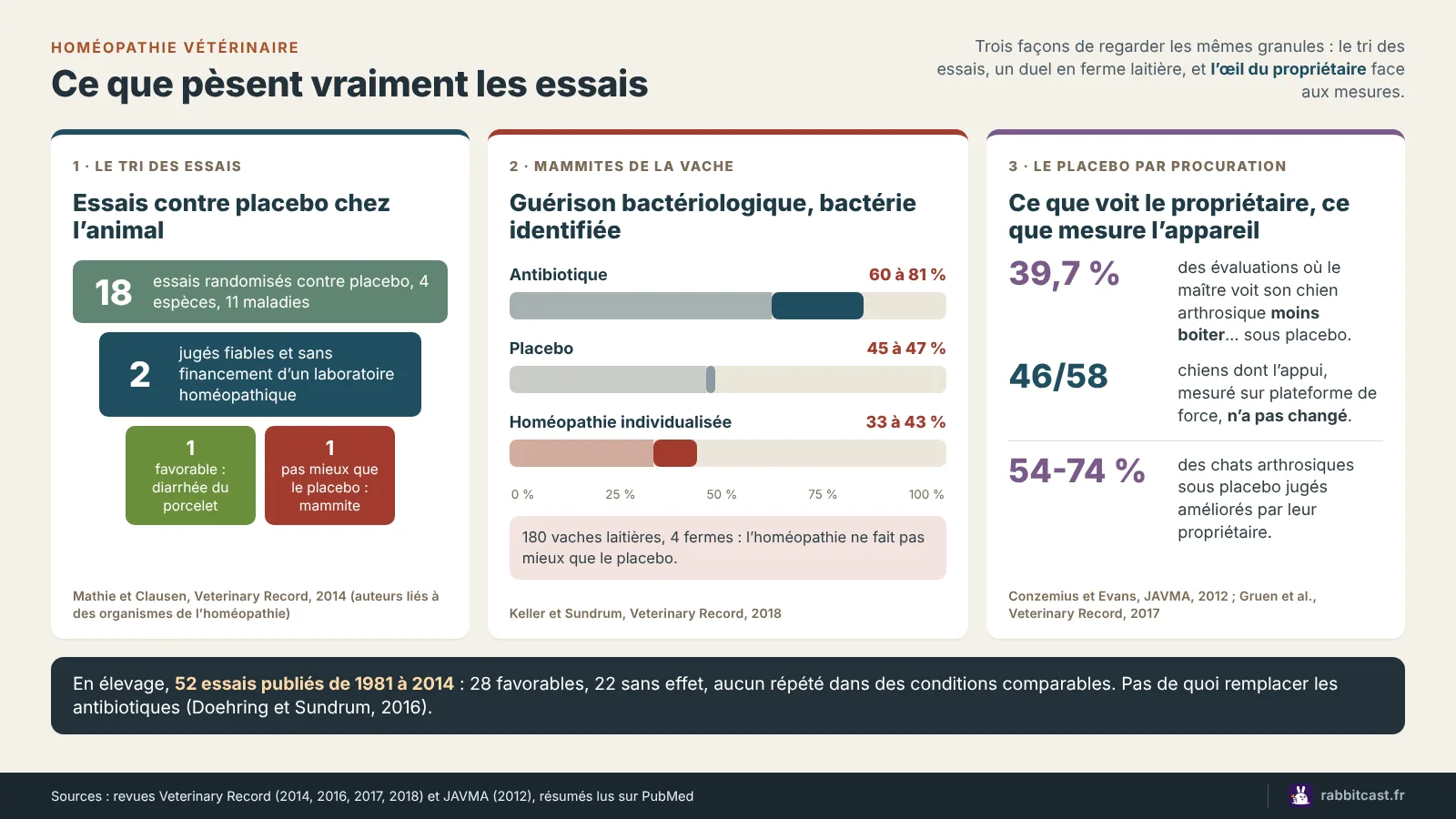 Schéma de synthèse : 18 essais contre placebo dont 2 fiables, taux de guérison des mammites sous antibiotique, placebo et homéopathie, et effet placebo par procuration chez le chien et le chat