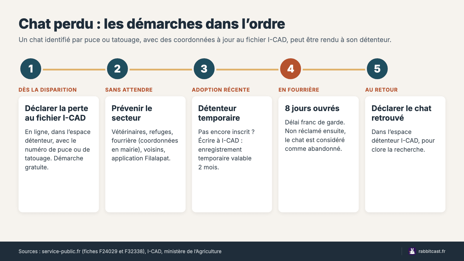 Chronologie des démarches pour un chat perdu : déclaration de perte au fichier I-CAD, recherches, fourrière 8 jours ouvrés, déclaration de retour