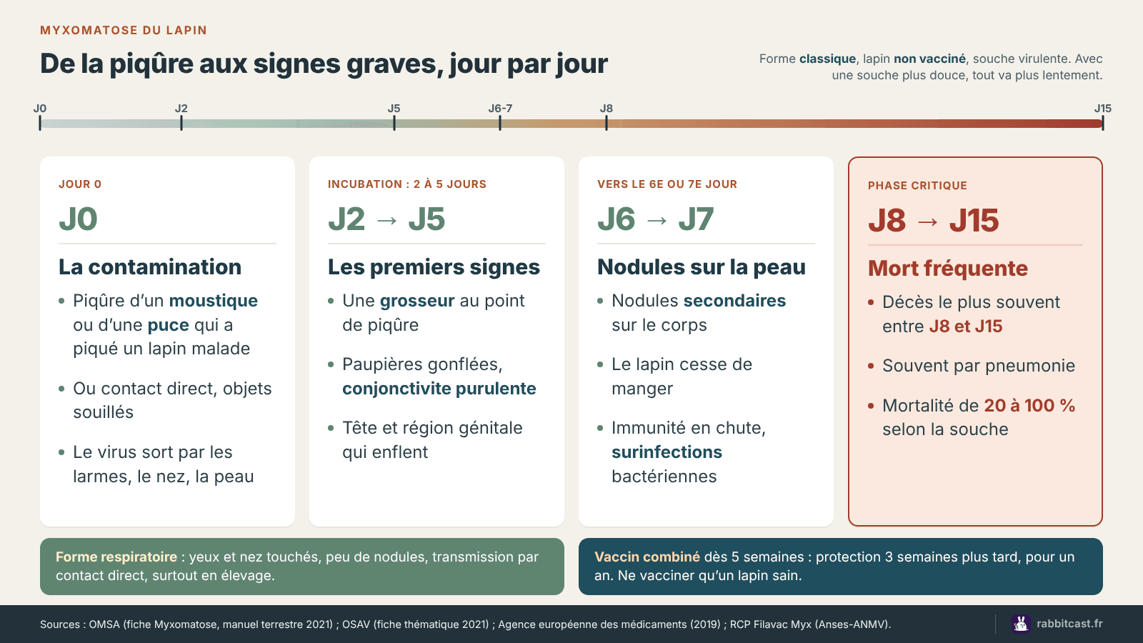 Frise de la myxomatose : lapin piqué par un moustique ou une puce, incubation de 2 à 5 jours, paupières gonflées, nodules vers le 6e jour, mort fréquente entre le 8e et le 15e jour sans vaccin