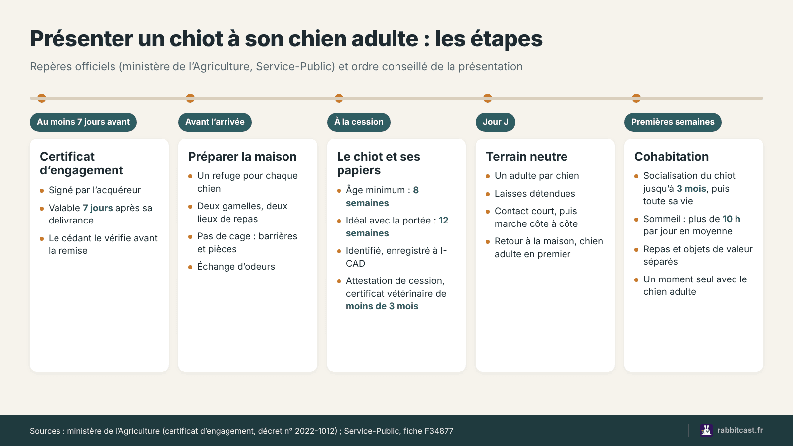 Calendrier pour réussir l’arrivée d’un chiot auprès d’un chien adulte