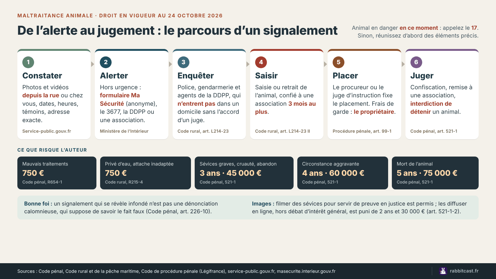 Schéma des six étapes d’un signalement de maltraitance animale, du constat au jugement, avec les peines encourues de 750 euros d’amende à 5 ans de prison