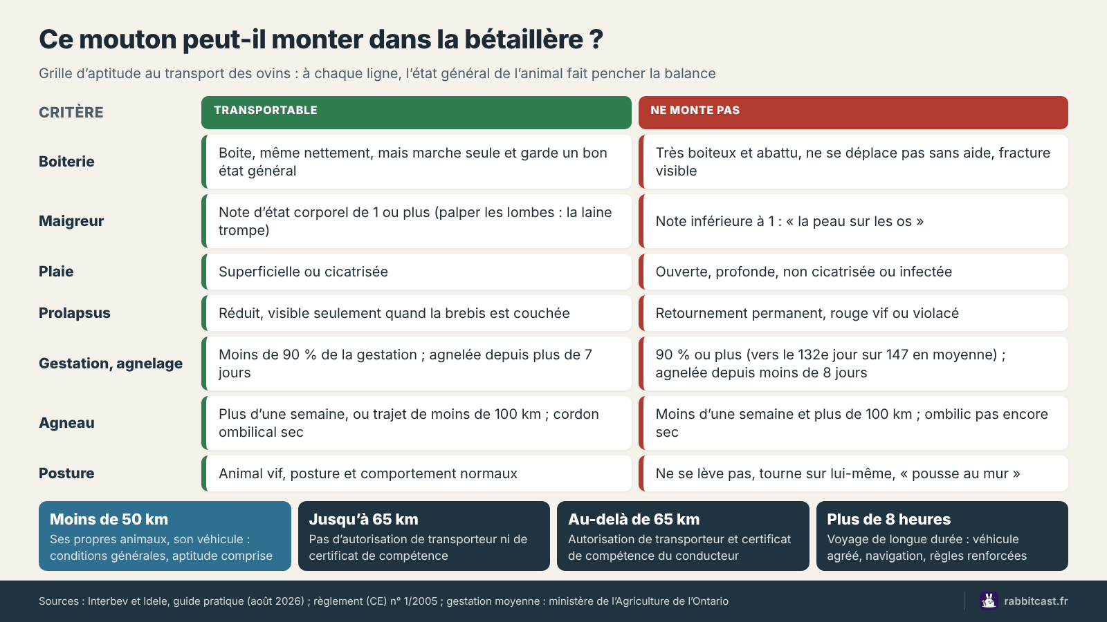 Aptitude au transport des ovins : signes qui permettent ou empêchent le départ, seuils de 50 km, 65 km et 8 heures