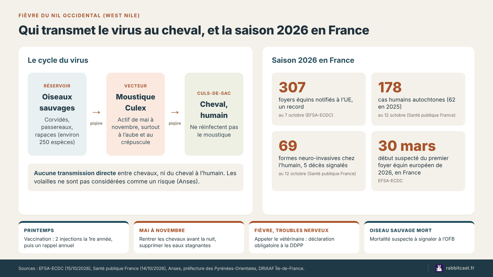 Schéma du cycle de la fièvre du Nil occidental : oiseaux sauvages, moustique Culex, cheval et humain, avec les chiffres de la saison 2026 en France
